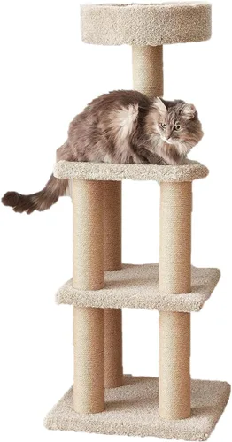 Vista 7 de Amazon Basics Árbol para gatos – Torre de actividad de escalada de varios niveles para gatos y gatitos para interiores, con postes rascadores
