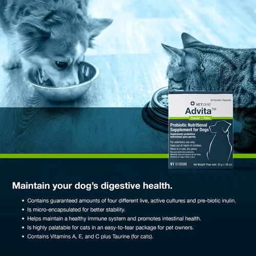 Vista 6 de Vet One Polvo probiótico Advita™ para perros, un suplemento nutricional diario para mantener el sistema inmunológico, el apetito y la digestión