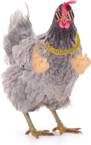 Vista 5 de Extguds Brazos de pollo para poner pollos, un divertido juguete de brazo de pollo con mirones y collar, un conjunto de disfraces de broma