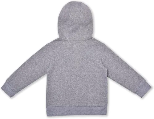 Vista 2 de Warner Bros. Harry Potter Hogwarts - Sudadera con capucha para niños pequeños y niños pequeños, color gris