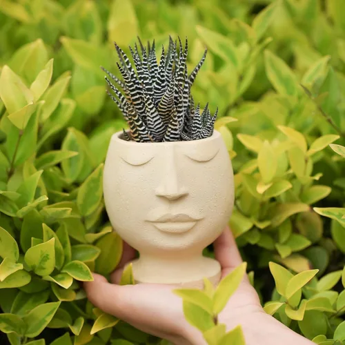 Vista 3 de Nicole Face Cement Flower Pot Mold Nordic Style Horcrete Mold Abstract Design Plant Flower Pot Molde de silicona