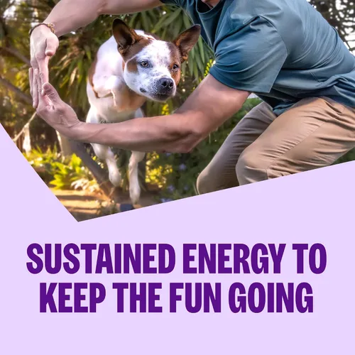 Vista 7 de Wellness Complete Health - Alimento seco para perros de raza grande con granos, ingredientes naturales, fabricado en Estados Unidos con carne real