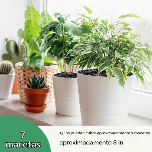 Vista 4 de GreatBuddy Rocas de río negro de 15 libras para paisajismo, guijarros negros pulidos de 1-2 pulgadas, rocas decorativas para plantas