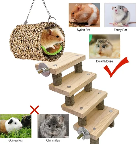 Vista 6 de Hamiledyi Juguetes de escalada para hámster, hamaca colgante de madera, juego de escaleras, accesorios de jaula para ratones de jerbo de hámster
