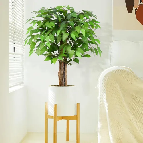 Vista 5 de Árboles artificiales de ficus de 3 pies con troncos naturales curvados, árbol exuberante de 36" de altura, árbol falso de ficus realista en verde