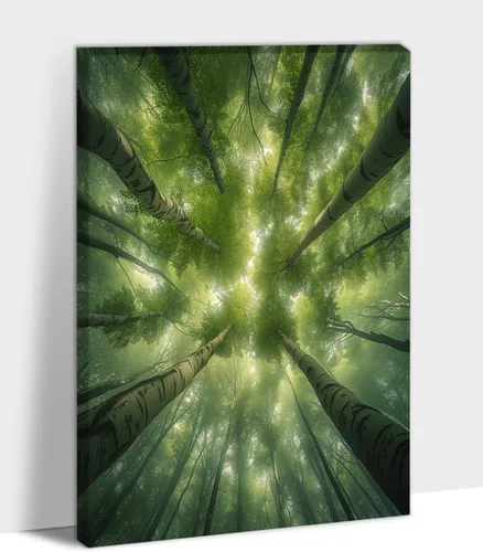 Vista 28 de UZMKM Lienzo decorativo de abedul para pared, pintura de bosque otoñal, imagen panorámica de paisaje, vista de la naturaleza amarilla, obra de arte