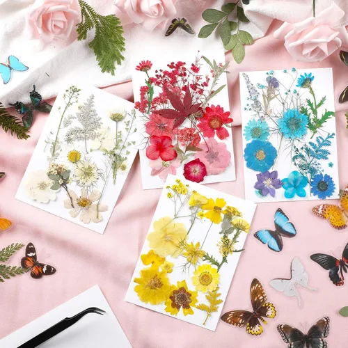 Vista 3 de Augshy Juego de flores secas prensadas reales con calcomanías transparentes de mariposa, calcomanías para álbumes de recortes, flores secas