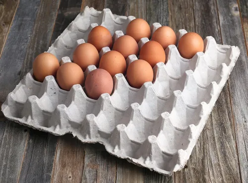 Vista 8 de MT Products Cartones planos de fibra de pulpa con capacidad para 30 huevos, caja de huevos para granja de pollos - Fabricado en los Estados Unidos