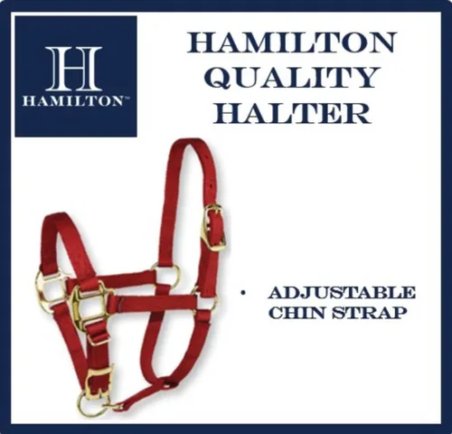 Vista 4 de Hamilton Quality Horse Halter, nailon de triple capa de 3/4", correa ajustable para la barbilla, poni o mini burro, 100-200 libras, negro