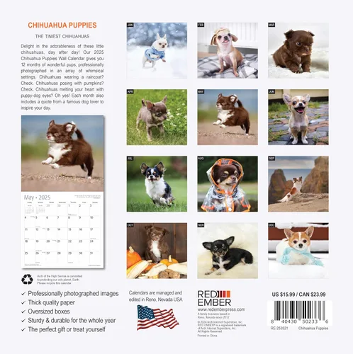 Vista 2 de RED EMBER Chihuahua Puppies 2025 Calendario de pared de 12 meses 12 x 24 pulgadas abierto Papel grueso y resistente Regalo Calendario 2025