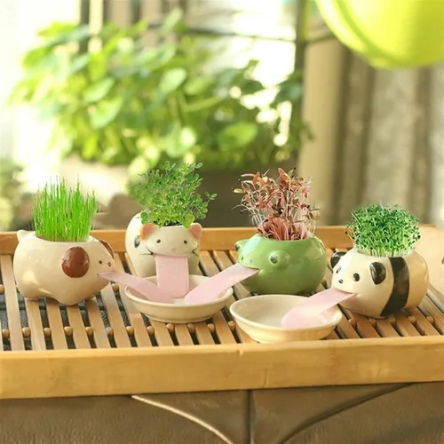Vista 8 de Mini macetas de riego automático para suculentas, 1 paquete de maceta de cerámica animal con lengüeta y orificio de drenaje, maceta creativa