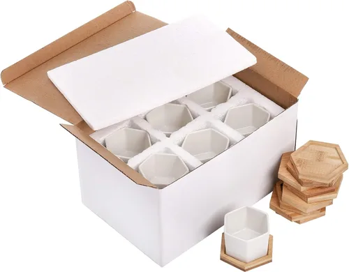 Vista 6 de Foraineam Paquete de 10 mini macetas para suculentas, 2.76 pulgadas hexagonales de cerámica blanca con bandeja de bambú