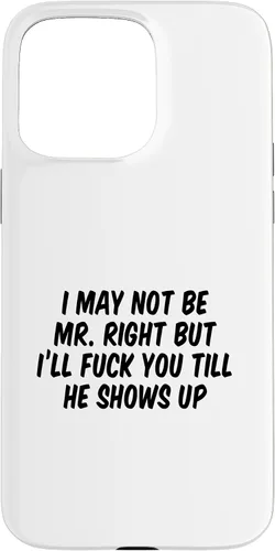 Vista 31 de I May Not Be Mr. Right But I’ll Fuck You Till He Shows Up Case for iPhone 17