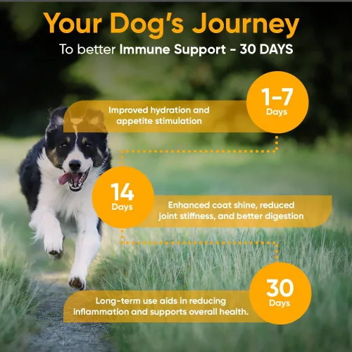 Vista 2 de iHeartDogs Caldo de huesos y colágeno para perros, caldo de huesos y hongos en polvo dorado para apoyo del sistema inmunológico, movilidad
