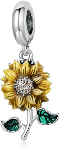 Vista 15 de Dijes de plata de ley 925 para pulseras, regalos de joyería para calabaza negra