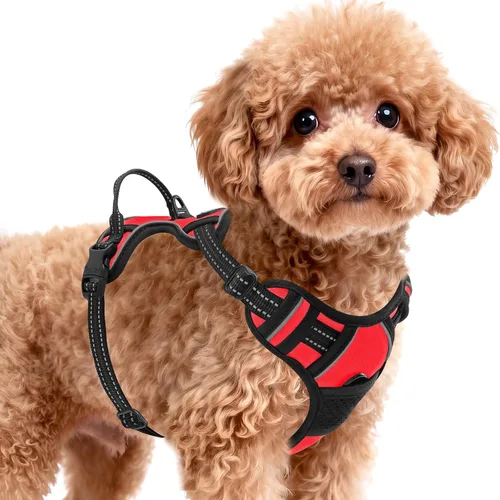 Vista 30 de BARKBAY Arnés para perro sin tirones para perros pequeños, ajustable, reflectante, cómodo, sin estrangulamiento, resistente, perfecto para Negro
