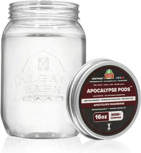 Vista 2 de AlgaeBarn Apocalypse PodsTM: Live Copepods: Apocyclops panamensis Copepods: Limpia tu tanque: Mandarina & Comida de Pescado Finicky