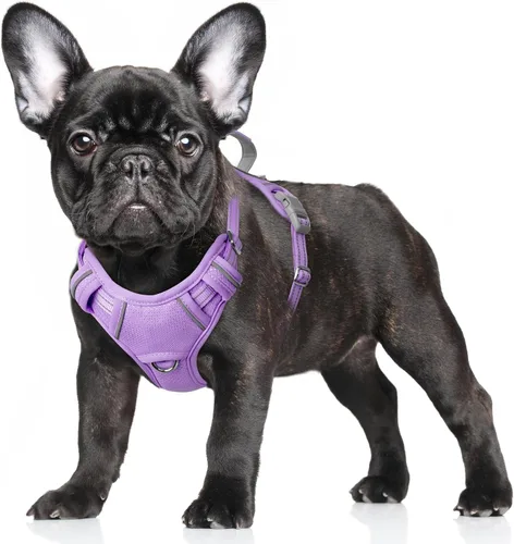 Vista 74 de BARKBAY Arnés para Perro Sin Tirones Talla Grande Arnés Reflectante para Perro con Clip Frontal y Asa de Control Fácil para Caminar Entrenar Correr
