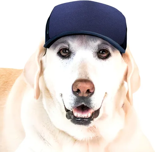 Vista 38 de DIY PupLid Trucker Hats (negro/blanco, XXS) - Sombrero de perro personalizable, lona en blanco para diseño personalizado, ajustable, protección