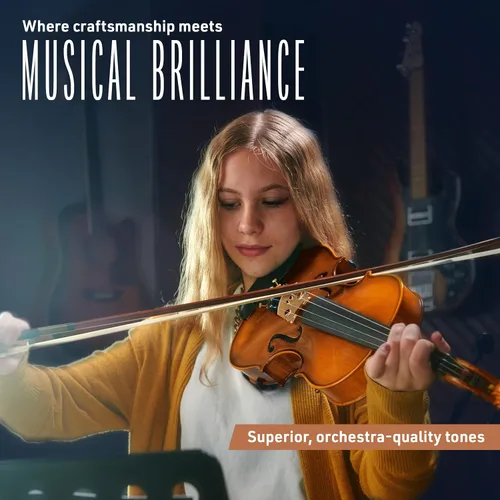 Vista 6 de Cecilio Viola de madera maciza de 16 pulgadas de tamaño completo, Viola acústica profesional artesanal con accesorios de ébano, cuerdas D'Addario
