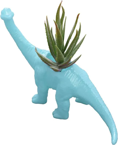 Vista 11 de Aislor Maceta suculenta con forma de dinosaurio con bandeja de drenaje, florero multiusos para bonsái, maceta creativa de cactus con orificio