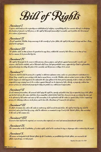 Vista 10 de Trends International The United States of America - Póster de pared de Carta de Derechos, 14.725 x 22.375 pulgadas, versión enmarcada de madera