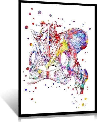 Vista 14 de Sección de corazón, anatomía de corazón, acuarela, corazón, arte humano, corazón, impresión de corazón, acuarela, sección de corazón, sección