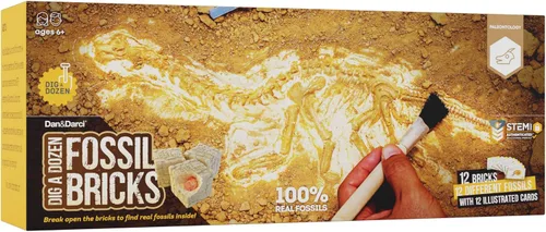 Vista 5 de Dan&Darci Excava una Docena de Ladrillos Fósiles - Rompe 12 Bloques y Descubre 12 Fósiles Reales Únicos - Rellenos para Cestas Arqueología Ciencia