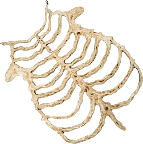 Vista 4 de Practical and Lightweight Skeleton Props Costume B