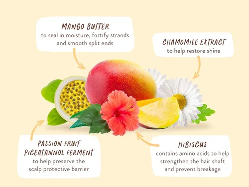 Vista 9 de Babo Botanicals - Acondicionador nutritivo de mango e hibisco, para cabello seco, dañado y tratado con color, hidrata y suaviza, cartón resistente