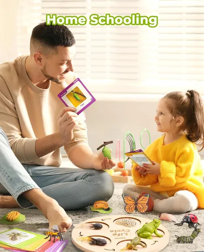Vista 5 de JoyCat Juguetes Educativos de Aprendizaje del Ciclo de Vida, Kit de Oruga de Insecto a Mariposa, Mariquita, Abeja, Kit de Renacuajo a Rana, Juguetes