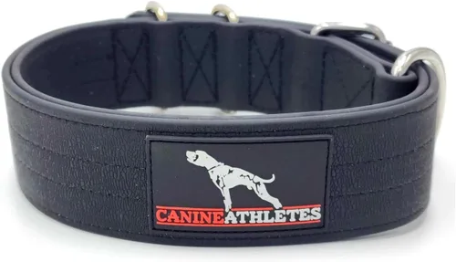 Vista 4 de Canine Athletes Collar para perro de trabajo de doble capa impermeable AP-Sport de 2 pulgadas (tamaño pequeño)