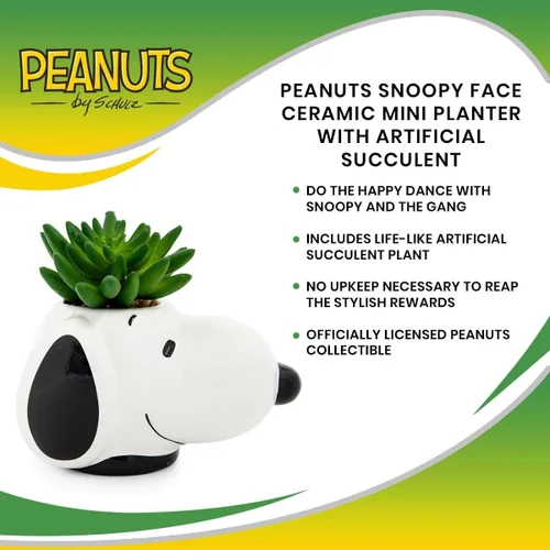 Vista 6 de Peanuts Snoopy Face - Mini maceta de cerámica con suculentas artificiales, maceta pequeña, plantas de interior de imitación para estante