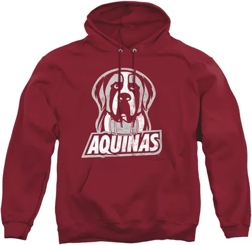 Vista 41 de Distressed College Primary Logo Adult Pullover Hoodie Collection 1 Universidad Estatal de Albany