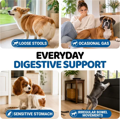 Vista 3 de Probióticos para perros y enzimas digestivas – 170 probióticos masticables para perros – Probiótico para perros – Anti diarrea, malestar estomacal