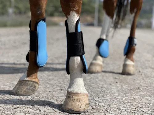Vista 9 de Ride Now Juego de 4 botas de tendón de caballo con frente abierto/Fetlock para caballo
