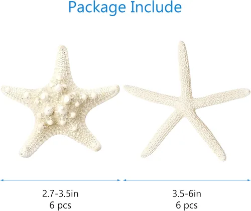 Vista 2 de 12 piezas de estrellas de mar Decoración de estrellas de mar de 2.5 a 6 pulgadas Conchas naturales de estrella de mar a granel perfectas