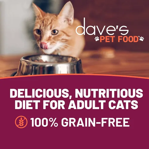 Vista 2 de Dave's Pet Food Grain Free Wet Cat Food (Minced Chicken in Gravy), Naturally Healthy Canned, Added Vitamins & Minerals, Wheat, Gluten & GMO-Free