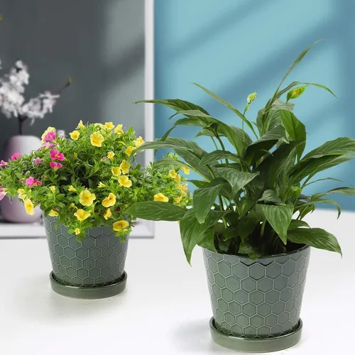 Vista 4 de Macetas de cerámica, macetas de 4+5+6 pulgadas para plantas de interior, macetas con agujeros de drenaje y bandeja de cerámica, macetas