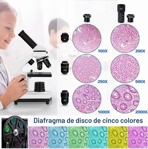 Vista 2 de Microscopio para adultos y niños, 100X-2000X BEBANG Microscopio compuesto con portaobjetos de microscopio, kit de microscopio para niños