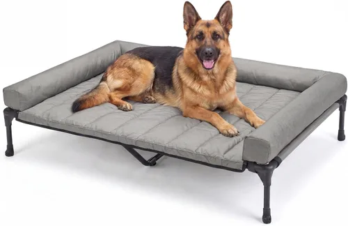 Vista 22 de Veehoo Cama Elevada Refrescante para Perro Añade Cojín Bolster Extraíble Impermeable Alfombrilla, Cuna Elevada para Mascotas con Malla Teslin