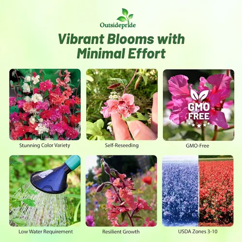 Vista 2 de Outsidepride Semillas anuales de flores silvestres Clarkia de 1/4 lb para plantar