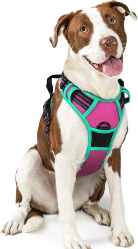 Vista 107 de Rabbitgoo - Arnés para perros sin tirón con 2 clips de correa, chaleco Oxford reflectante acolchado suave ajustable sin estrangulamiento