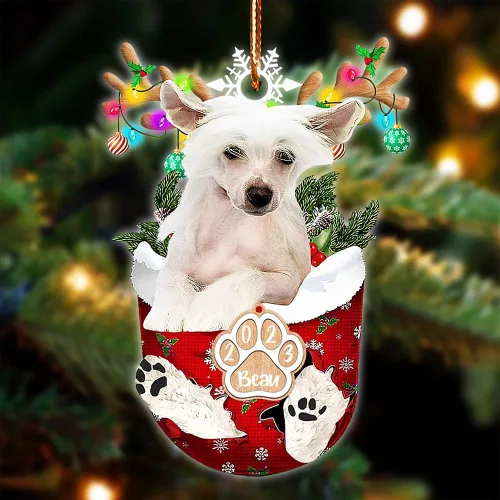 Vista 48 de NAZENTI Adorno Navideño de Bolsillo Personalizado de Affenpinscher en la Nieve, Adorno de Forma Acrílica de Perro, Adorno de Navidad 2023, Adorno