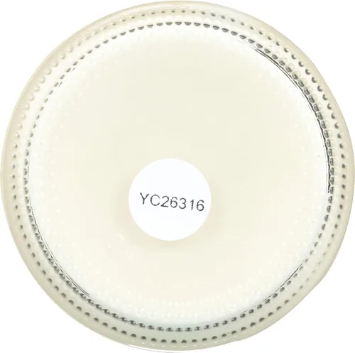 Vista 7 de Schmidt's Desodorante natural, ylang-ylang y caléndula, 2 Oz ()
