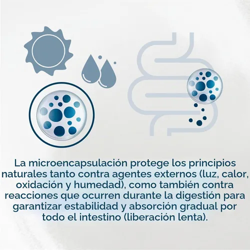 Vista 7 de Forza10 - Alimento húmedo intestinal para estómagos sensibles, paquete