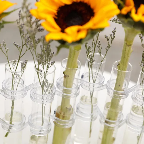 Vista 5 de DOITOOL Jarrón de tubo de ensayo, 8 piezas, tubo de ensayo de vidrio, terrario, florero de vidrio transparente, maceta decorativa de tubo de ensayo
