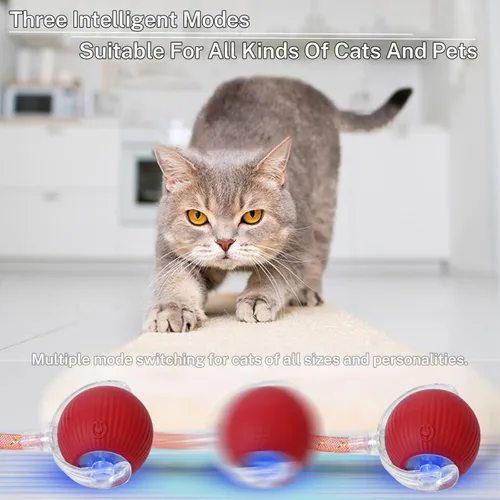 Vista 6 de Nuevo Juguete de Pelota para Gatos Mejorado - Speedy Tail 2.0 Juguete para Gatos, Pelota de Juguete Interactiva para Gatos, Juguetes Estimulantes