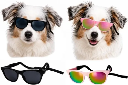 Vista 23 de G006 - Lentes de sol para disfraz de perro mascota de los años 80, para sesión de fotos, razas medianas de 20 a 40 libras