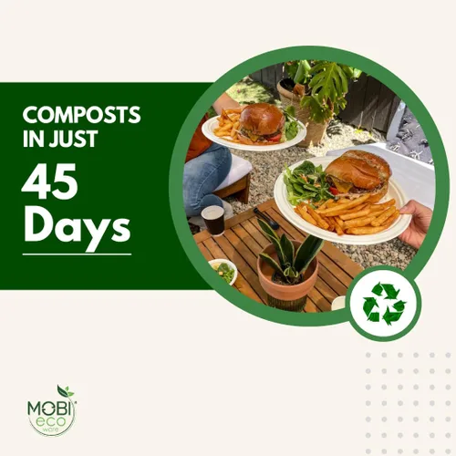Vista 5 de Platos de papel, 100 % compostables, 10 pulgadas por 0.5 pulgadas de profundidad, plato desechable resistente, certificado (BPI), sin (PFAS)